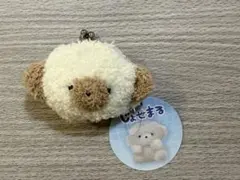 じょせまる ミニがまぐち ラテ