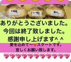 説明欄熟読下さいモデルパターン、あんぱん、塩、クルミ、レーズン、クリーム、かれー