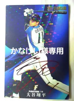 かなけい様 リクエスト 2点 まとめ商品