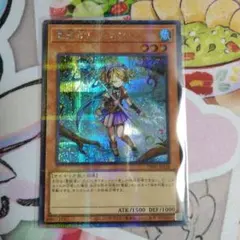 遊戯王 霊獣 シークレット シクパラ セット 遊戯王 霊獣 シークレット シクパラ セット 遊戯王 霊獣