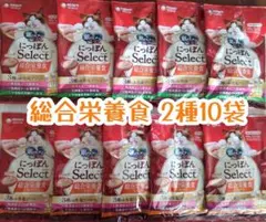 Item thumbnail for item 577b508e-3d10-4b8d-95e2-27280f4a3d2a