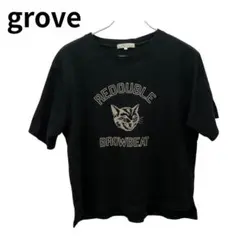 REDOUBLE BROWBEAT グラフィックTシャツ 黒 ストリート