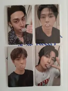 バンチャン リノ スンミン アイエン KARMA ヨントン FANS トレカ