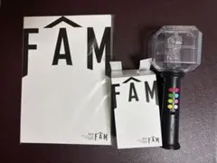 timelesz 2025ツアー　ペンライト、パンフレット