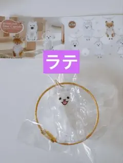 ガチャ　わんこのタイムカプセル　ラテ　新品