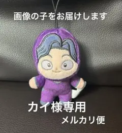 カイ様専用
