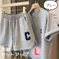 部屋着 グレー L ルームウェア 半袖 セットアップ Tシャツ パジャマ 薄手のサムネイル