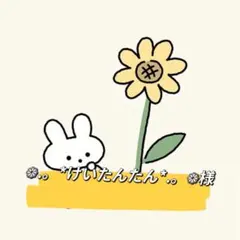 ❁.。*けいたんたん*.。❁様 リクエスト 2点 まとめ商品