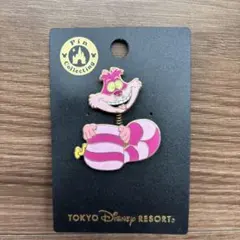 ディズニーワールド50周年のピンバッチ チシャ猫 - メルカリ