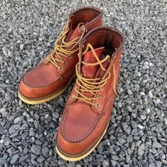 2025年最新】アイリッシュセッター 27の人気アイテム - メルカリ