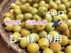 むー様専用　小梅