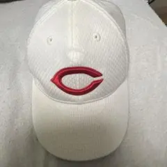 2026年最新】智辯の人気アイテム - メルカリ