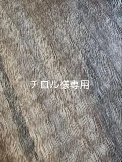 ビックカメラ株主お買物優待のサムネイル