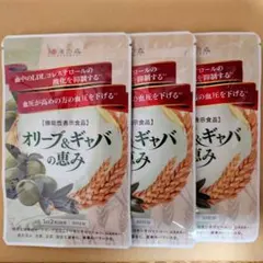 新品・即日発送】ヒハツ ギャバの恵み 3袋 和漢の森 - メルカリ