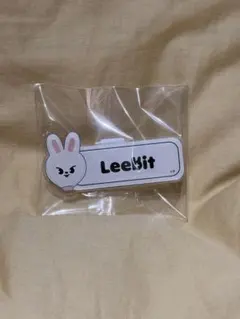 LeeBit 네임 플레이트 핀 배지
