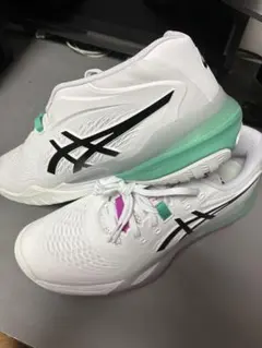 ASICS テニスシューズ 27.0cmオールコート用