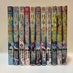 月が導く異世界道中 1~18巻 ＋8.5巻 ラノベ ライトノベル 最終値下げ値