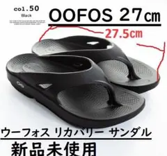 Item thumbnail for item 8c28e8bb-45f1-4b70-8fd1-38bc53a933e8