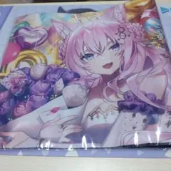 1st Anniversary Celebration Set -博衣こより