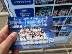 日向坂46　小坂菜緒　直筆サイン　ポストカード　福岡会場