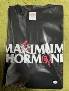 2026年最新】マキシマムザホルモン tシャツ 生還者の人気アイテム