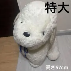 ORIENTAL TOY オリエンタルトーイ うめ吉　貴重 うめ吉 抱き 犬 ぬいぐるみ オリエンタルトーイ 2024年新製品 : HONDA