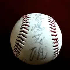 2013年のWBCの実際の使用球 - メルカリ