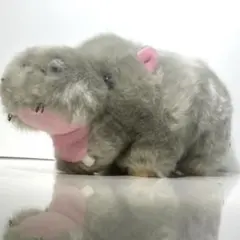 Item thumbnail for item c5ce351e-7919-4951-ad51-04a6aa415eda