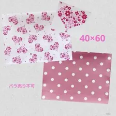 Item thumbnail for item ccf79f80-a5cd-4059-9028-6c33330df19c