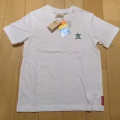 Item thumbnail for item 1f2e15de-384f-4f1f-8c63-76644398e122