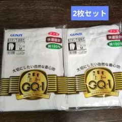 GUNZE 長ズボン下（前あき） 2枚セット M　グンゼ