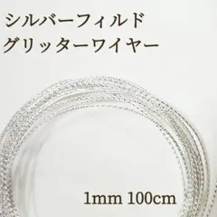 新商品　シルバーフィルド　スパークルグリッターワイヤー　ハード　1ミリ　1m
