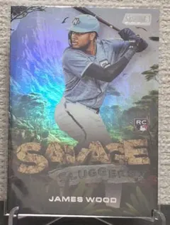 Item thumbnail for item be793b10-54ce-45e5-b5f0-1c0721c05b03