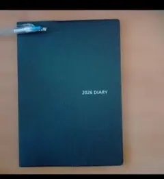 Item thumbnail for item ece347b6-1291-4661-9ae5-6e435e9d6df1