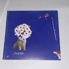 CD dat politics sous hit