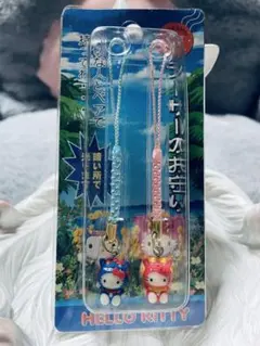 ご当地キティ　根付け　千葉　木更津　あさり ご当地キティ ファスナーマスコット 千葉 木更津 あさり - メルカリ