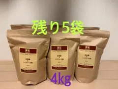 自然栽培【イセヒカリ】玄米20kg[5kg×4袋]新米 令和7年度産無農薬無
