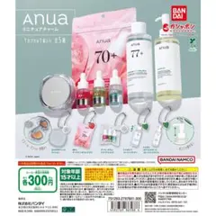Anua アヌア ミニチュアチャーム 全5種