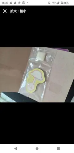 キャラクターマグネッツ ちいかわ