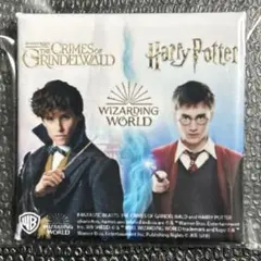 2025年最新】ファンタスティックビースト 缶バッジの人気アイテム