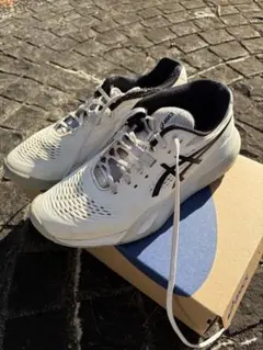 ゲルレゾリューション 26.5