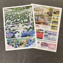 あしかがフラワーパーク 入園無料ご招待券　チラシのサムネイル