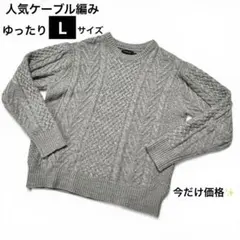ケーブルニット L グレー 立体編み 厚手 セーター メンズのサムネイル