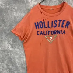 Tシャツ ダメージ HOLLISTER 刺繍