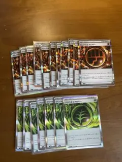 ポケモンカード グロウエネルギー＆ロック型エネルギーセット