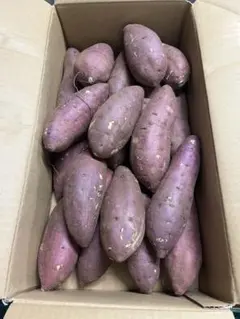 osuman111様専用！大分県産　甘太くんA品Lサイズ10キロ