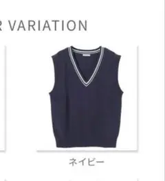 ハニーズ なんちゃって制服 ベスト ニットベスト ネイビー スクールベスト JK