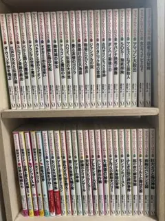 マジック・ツリーハウス48巻セット1〜39、41〜42、53、54探検ガイド5冊 マジック・ツリーハウス48巻セット1〜39、41〜42、53、54探検ガイド5冊