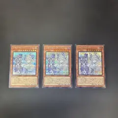 大門様 リクエスト 3点 まとめ商品