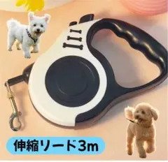 Item thumbnail for item 2fa0ab9e-b9a8-4e52-ac80-44d62990ff7f